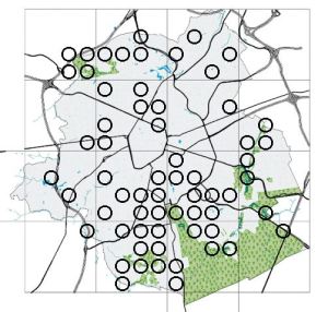 Flore de Bruxelles_berce du Caucase