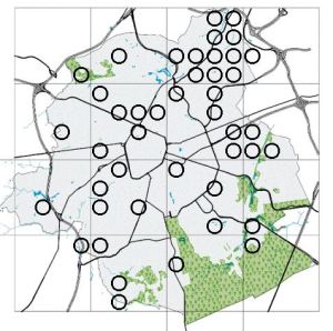Flore de Bruxelles_luzerne cultivée