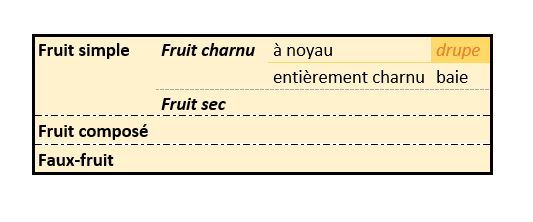 Prunelle classification