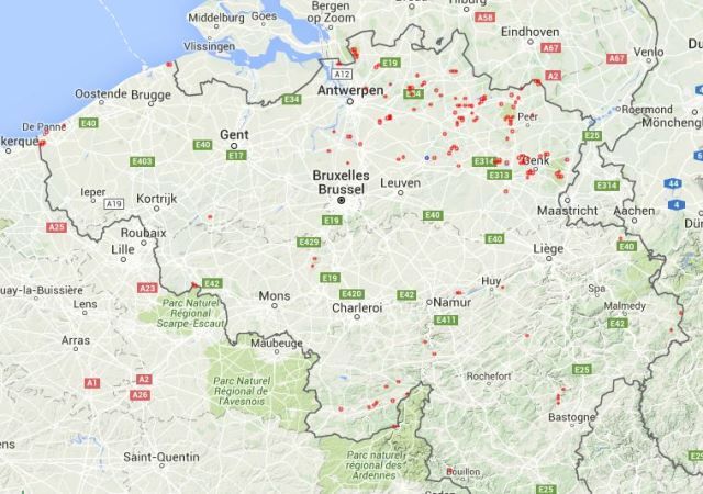 Observations_Cladonia