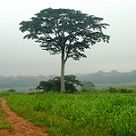 6239850369_49f914c1b9_q